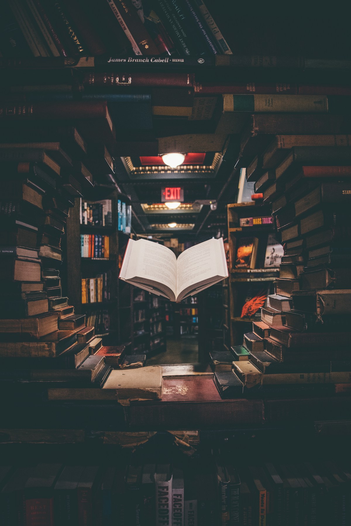 Assorted books stacked on a wooden shelf